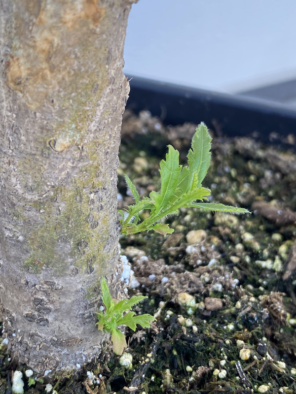 6A67893A-48D0-4CEE-A3A8-2AA894C833F9