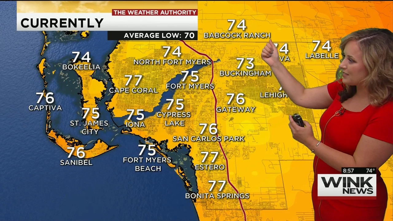 23 May - 14.00.00 - WINK News @ 9 00AM..ts_snapshot_00.02.10_[2020.05.23_17.10.36]