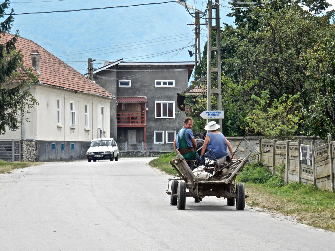 DSCN1526
