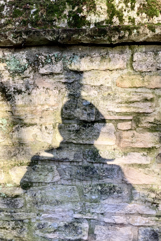 2ECD31B9-B0A6-4C0C-9E52-43E35BDF78F3