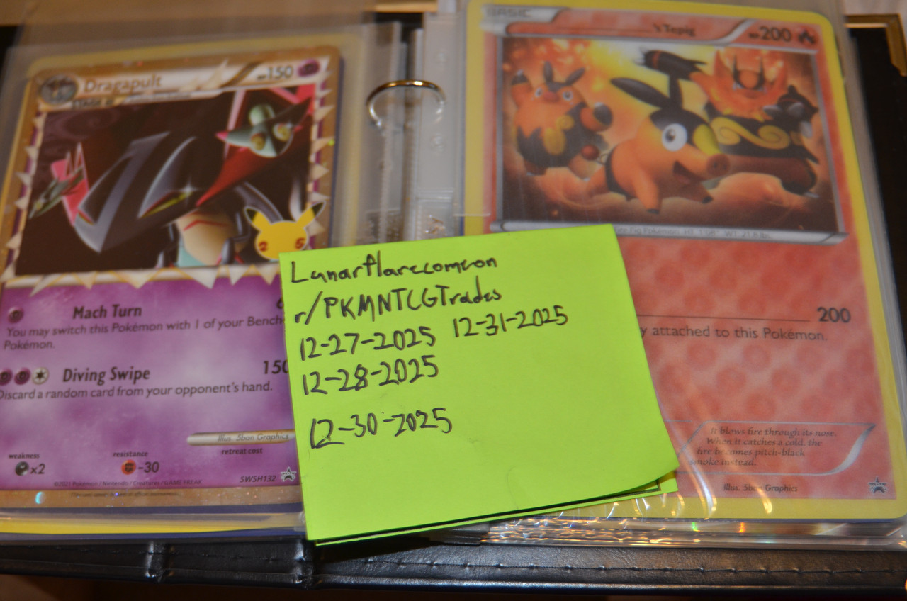 oversized binder (14)