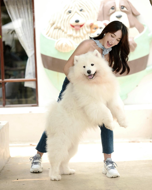 minpechaya-1678796750-3058291261271917057-17148708