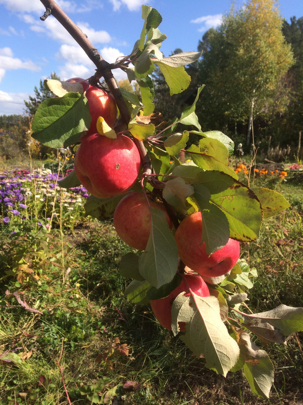 F3C07F91-0DE9-4D02-A3DC-FCE17E321FA3