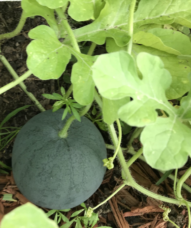 1D761E9A-40DD-449D-9160-74688E6C5D28