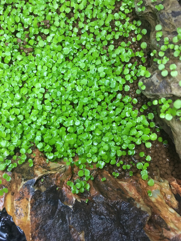 C82EC39C-CB02-41E8-B2E1-148663AE818A