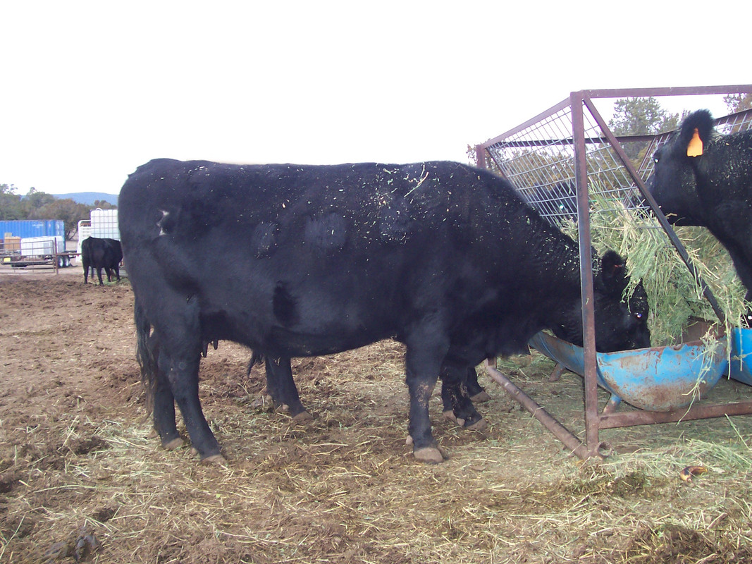 2F720752-5B70-4290-AAFD-7C2D1451FC8F