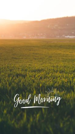 vartotojo įkelta nuotrauka