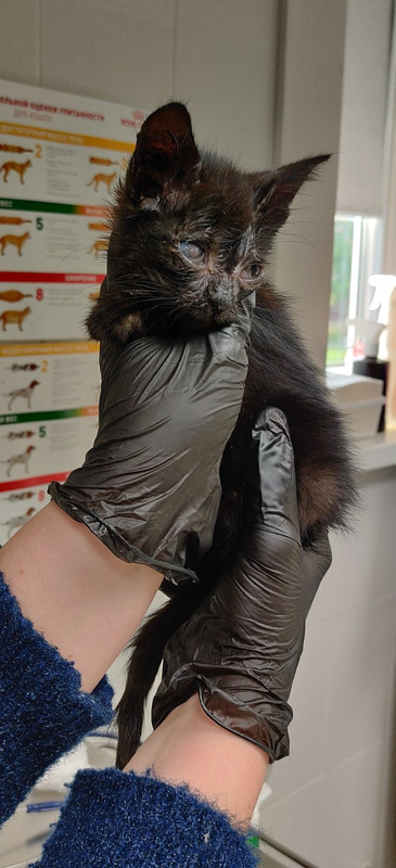 изображение_viber_2020-10-18_16-17-18