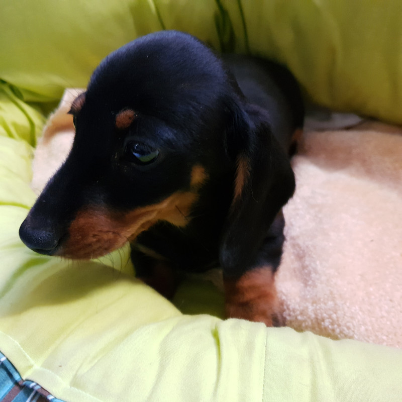 [Image: 20201220-111934.jpg]