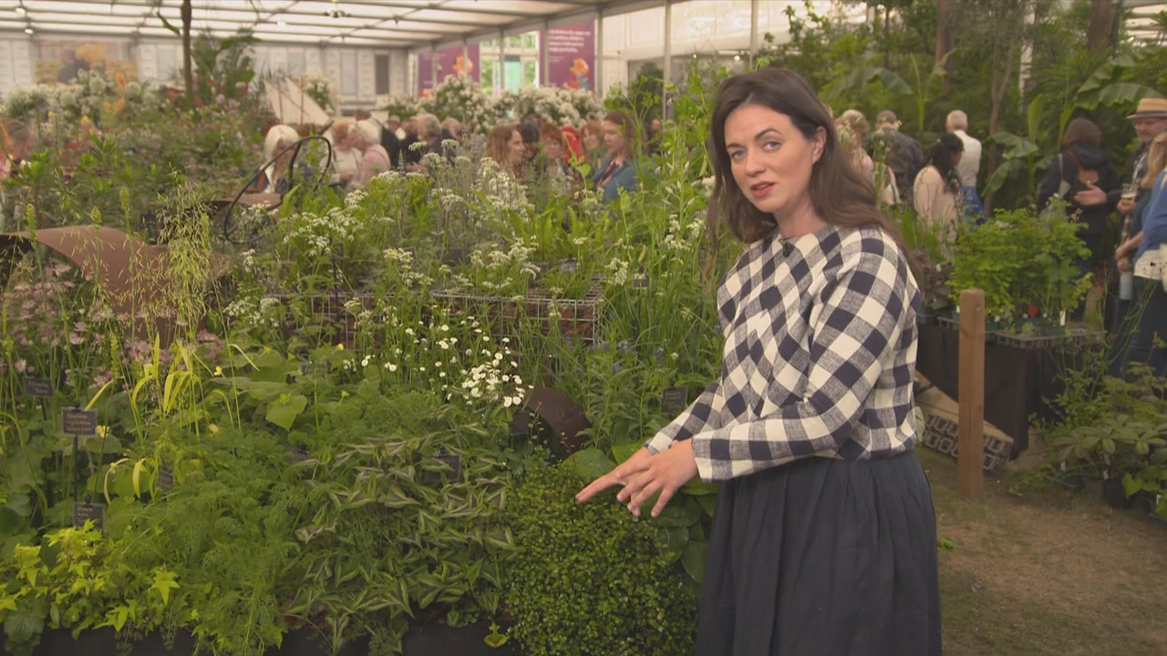 RHS Chelsea Flower Show 2025_20250523_14001500.ts_snapshot_00.07.08.405