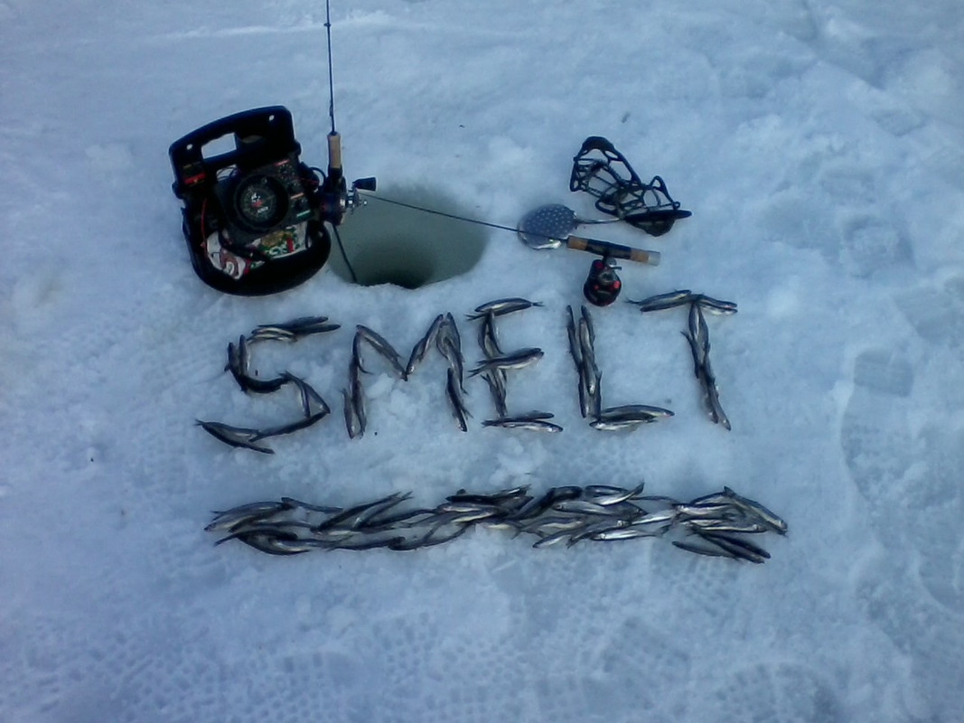 smelt Gilman Lake