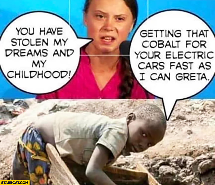 12-De-Med-greta-thunberg.jpg