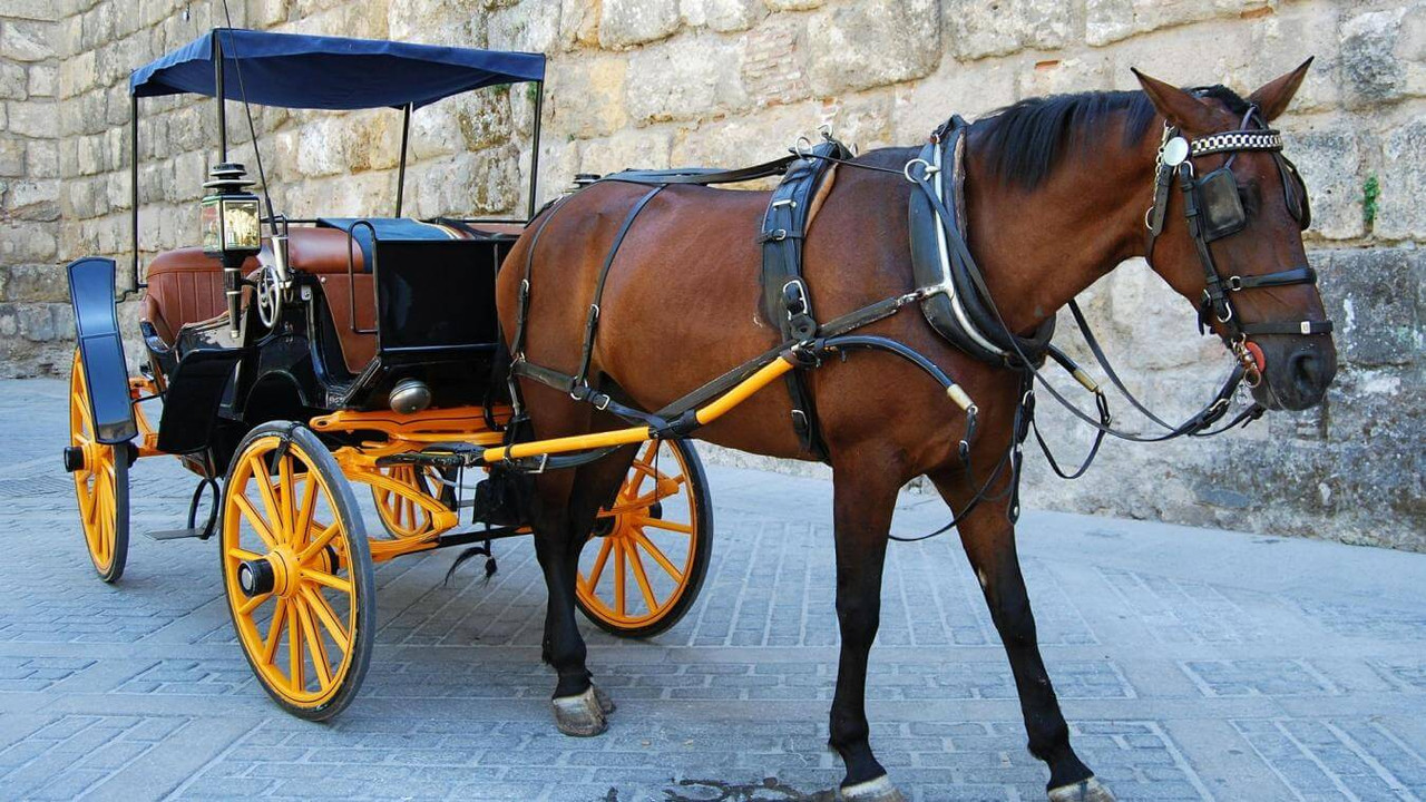 B9724279896Z.1_20200813185057_000 GDGGG122J.1-0