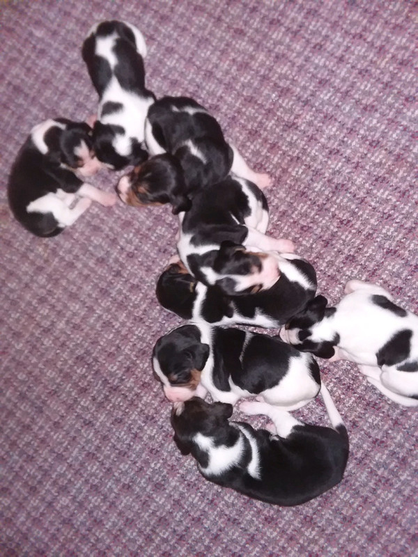 2055FAAE-5AF7-445A-9754-postimg