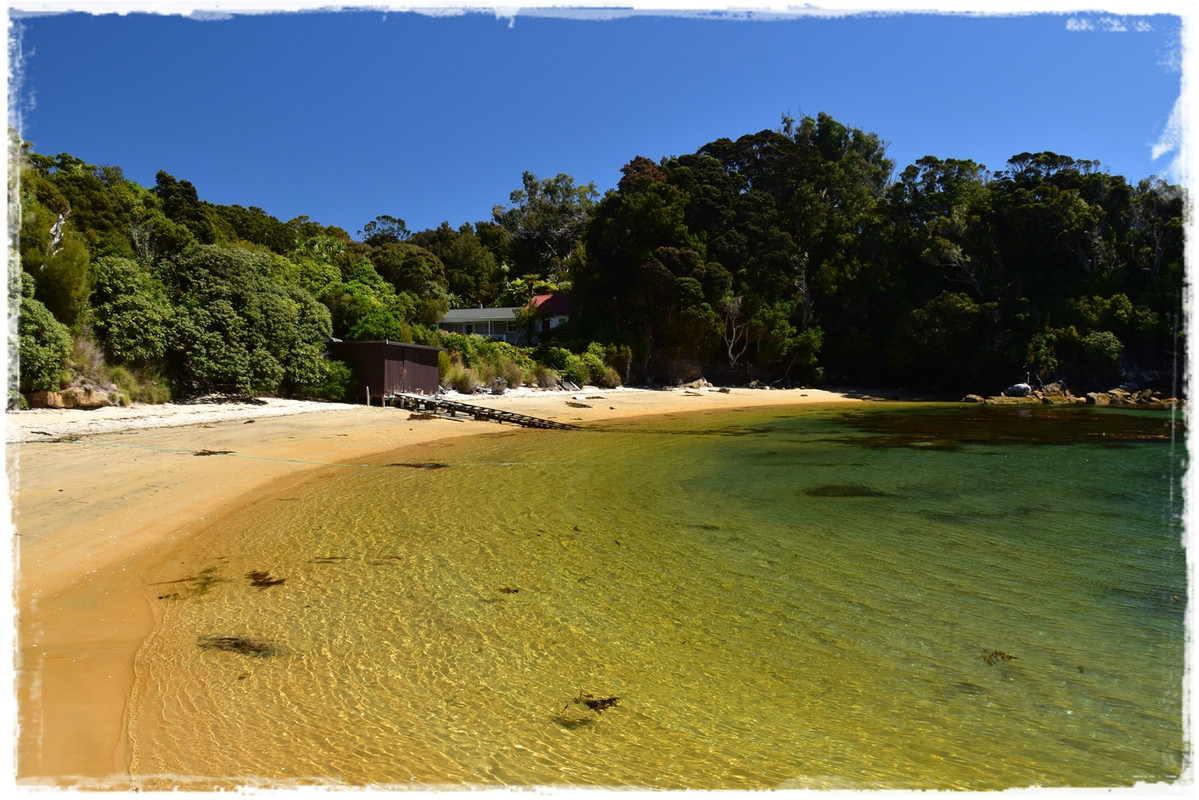 Stewart Island:  kiwis, Coast to Coast y unos días en Oban (febrero 2021) - Escapadas y rutas por la Nueva Zelanda menos conocida (61)