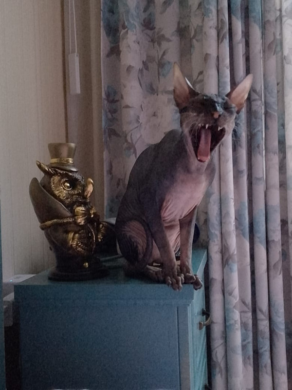 Такие наши доказательства!)