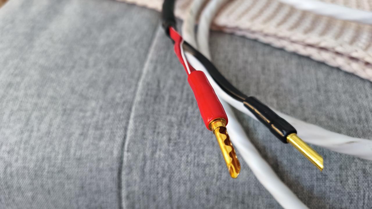 [Image: IMG-20260401-193738.jpg]