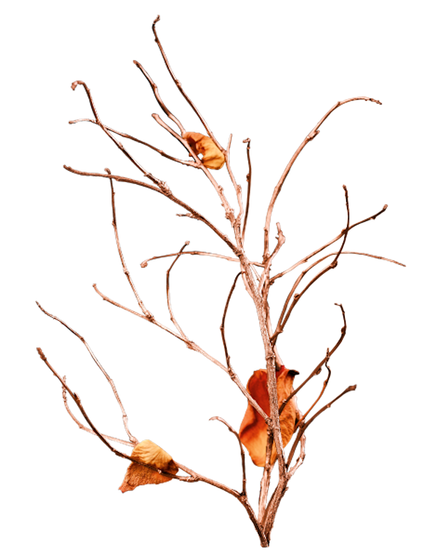 IPD_AH_Element (136)