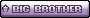 big brother purple
