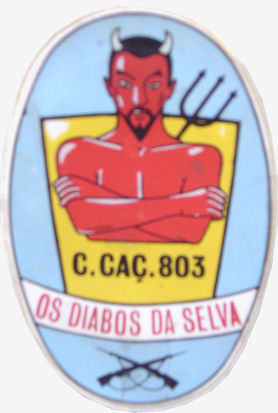 CCac803