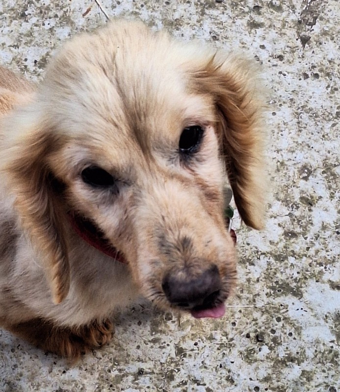 [Image: 20240415-114712.jpg]