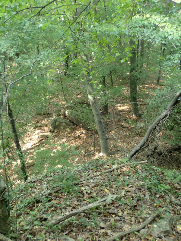 RUTIZAM SRBIJA - DragoševacJerinin grad (jagodinski) (3)