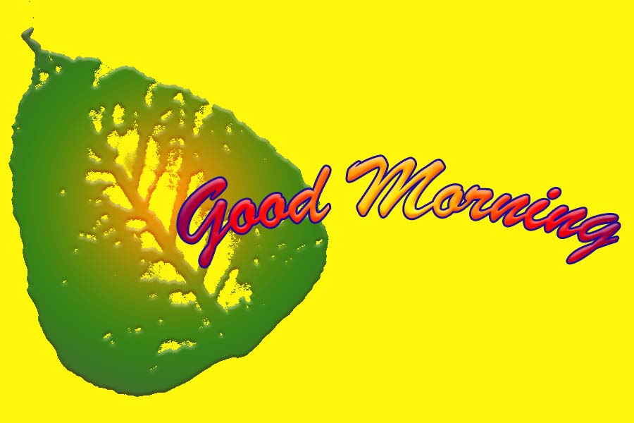 Good Morning Pictures GOOD MORNING WALLPAPER FOR YOU, Good Morning Pictures, Good Morning Images, Good Morning Graphics, Photos, Scraps, Comments For Facebook, Myspace, Whatsapp, Instagram, Hi5, Friendster And More Day Graphics