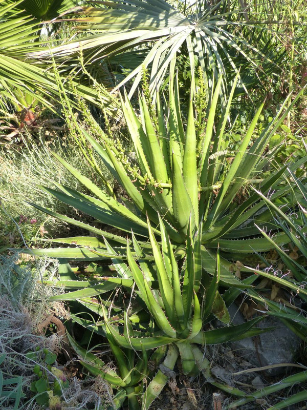 P1240173