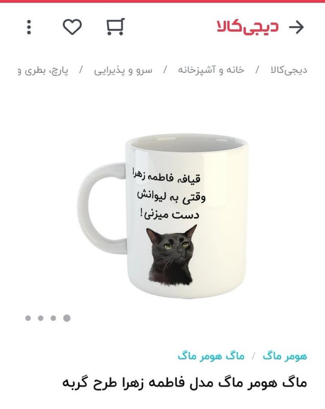 ۲۰۲۴۰۲۰۸_۲۱۳۹۵۷