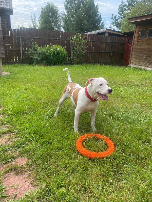 D65F59B8-92CB-49A7-BD0F-A2CB2B270A64