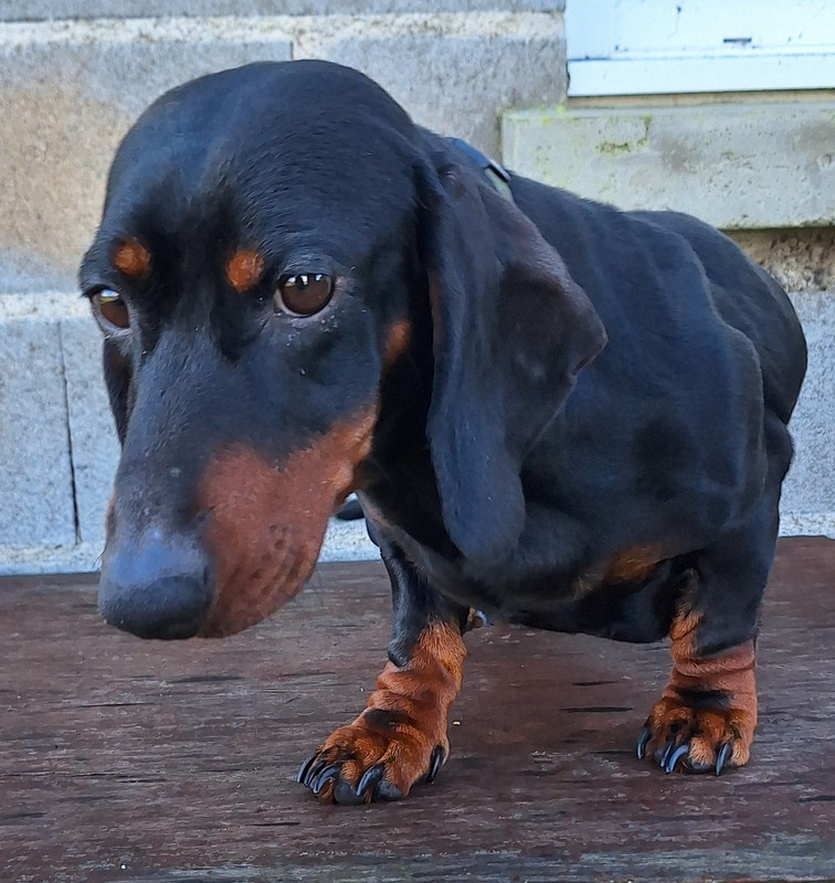 [Image: 20231220-123430.jpg]