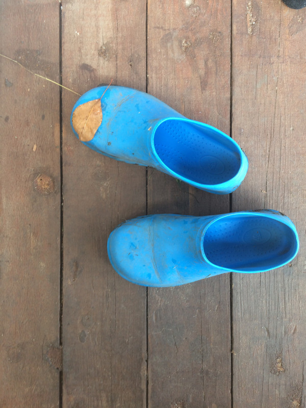 946FECAC-000E-439F-90C3-ECB38D4E75BF