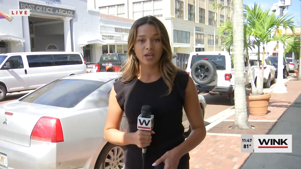 10.09 - 16.30.00 - WINK NEWS at 11 30am  ᴺᵉʷ. Midday news..ts_snapshot_23.57.815