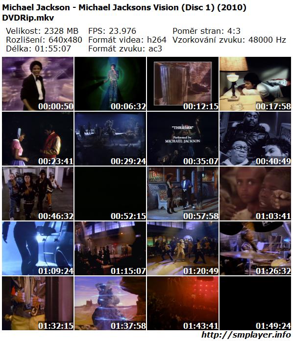Michael Jackson - Michael Jacksons Vision (2010)