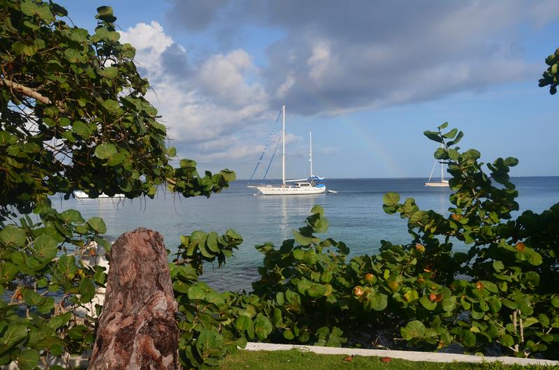 COZUMEL-15-9-2017-MEXICO - Crucero caribeño con MSC OPERA-Septiembre-2017 (18)