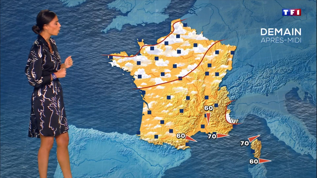 2022-07-25_20_00_TF1_Le-20h.mp4_snapshot_01.37.937
