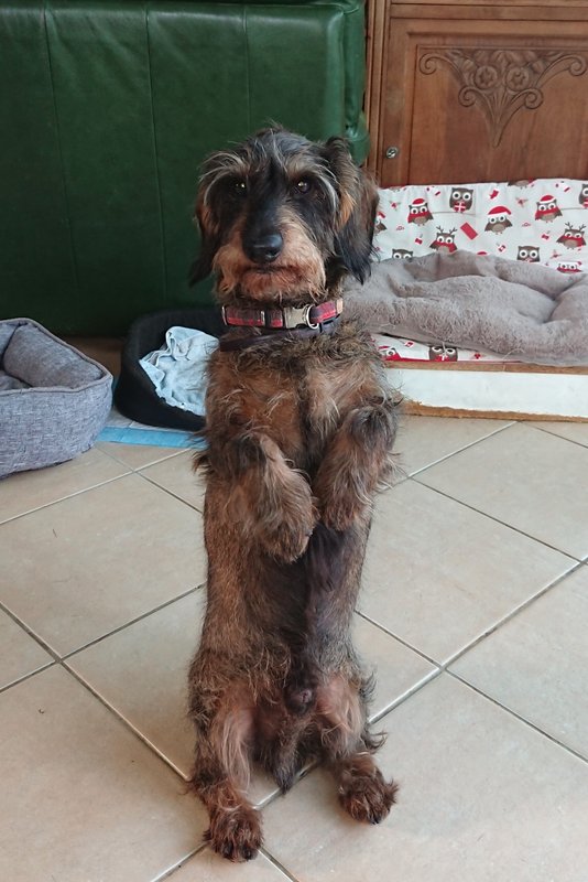 [Image: DSC-2924.jpg]