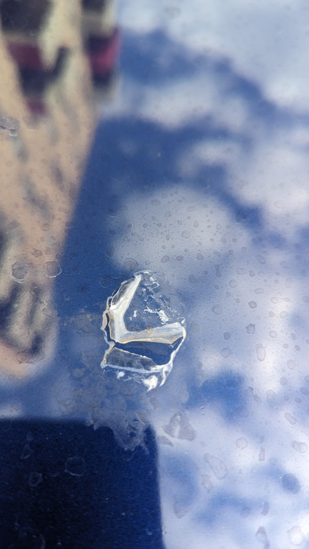 PXL_20230702_162021960.MP