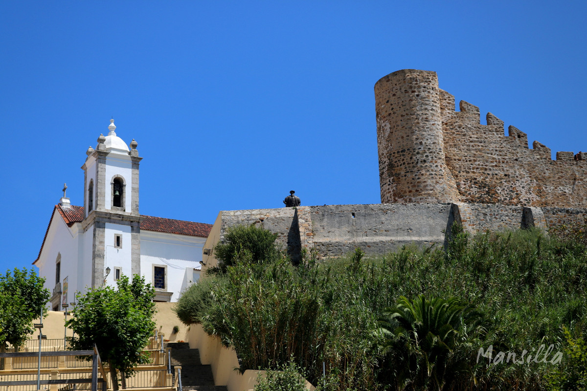 Sines-3008