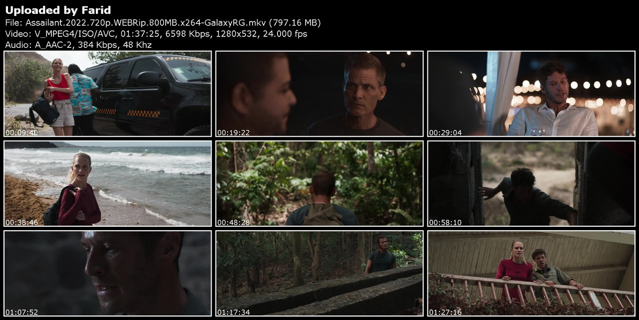 Assailant-2022-720p-WEBRip-800-MB-x264-Galaxy-RGTGx.jpg