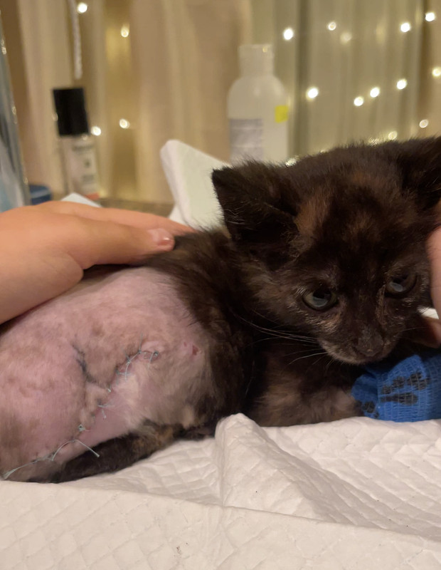 E5D1BCE8-B4D7-4B2D-A984-A5343CE2E8A7