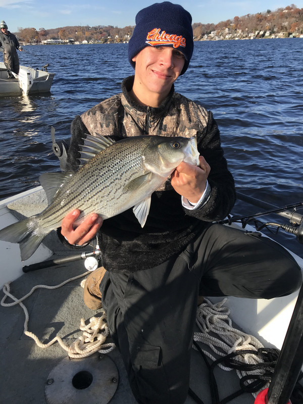 0A07EA11-86CA-4F8F-8CF9-27E8D9A04B19