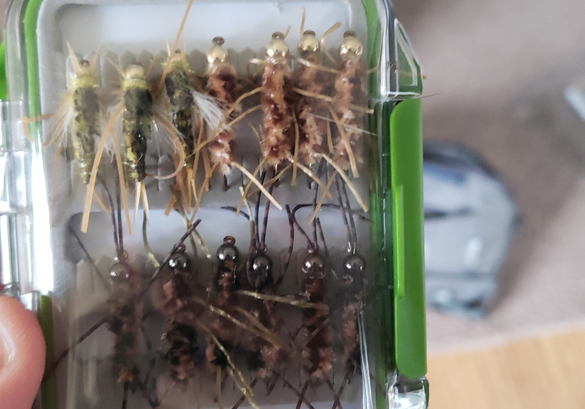 20190419_164633