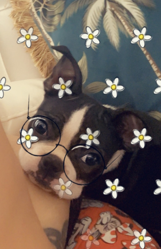 3ACD23C2-878C-4377-8588-2D35E7D3BDD6