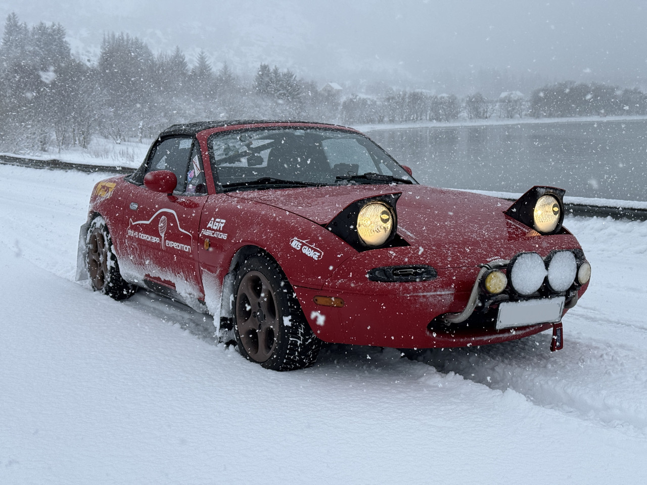 [Immagine: IMG-9116.jpg]