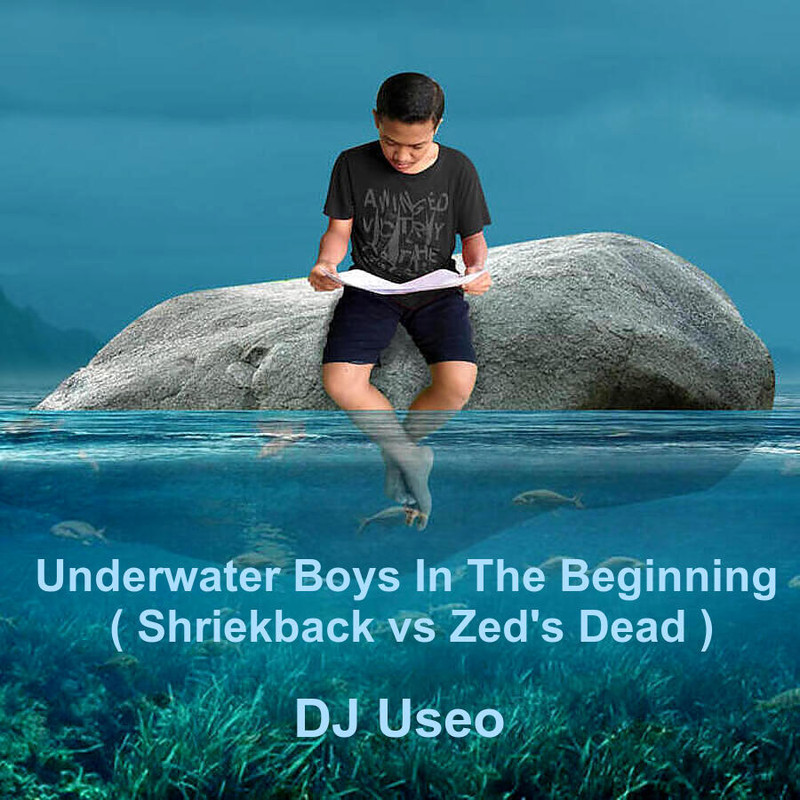 djuseo-underwater-beginning.jpg