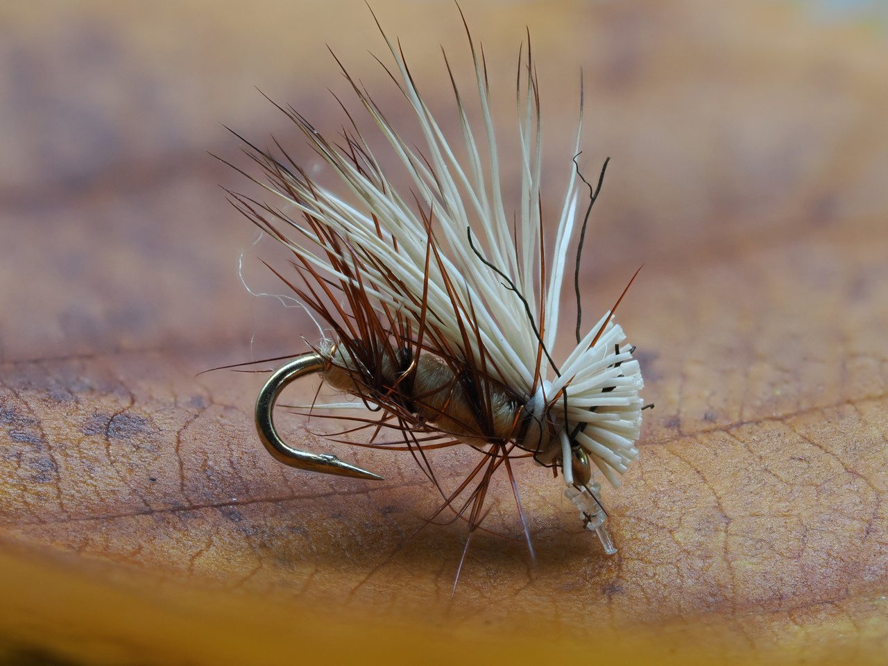 PB121295.jpg