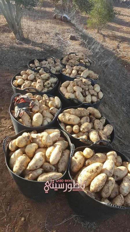 472b29e7-c551-46f5-8778-b78c5b3142df