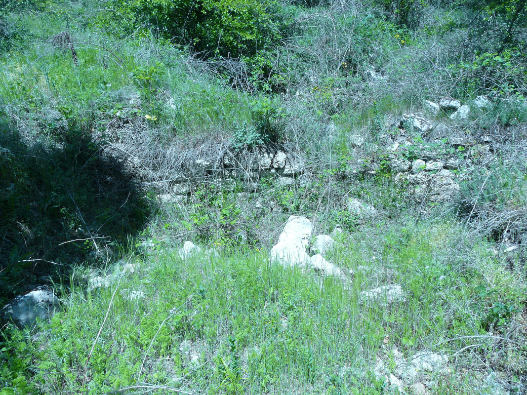 P1290410.jpg