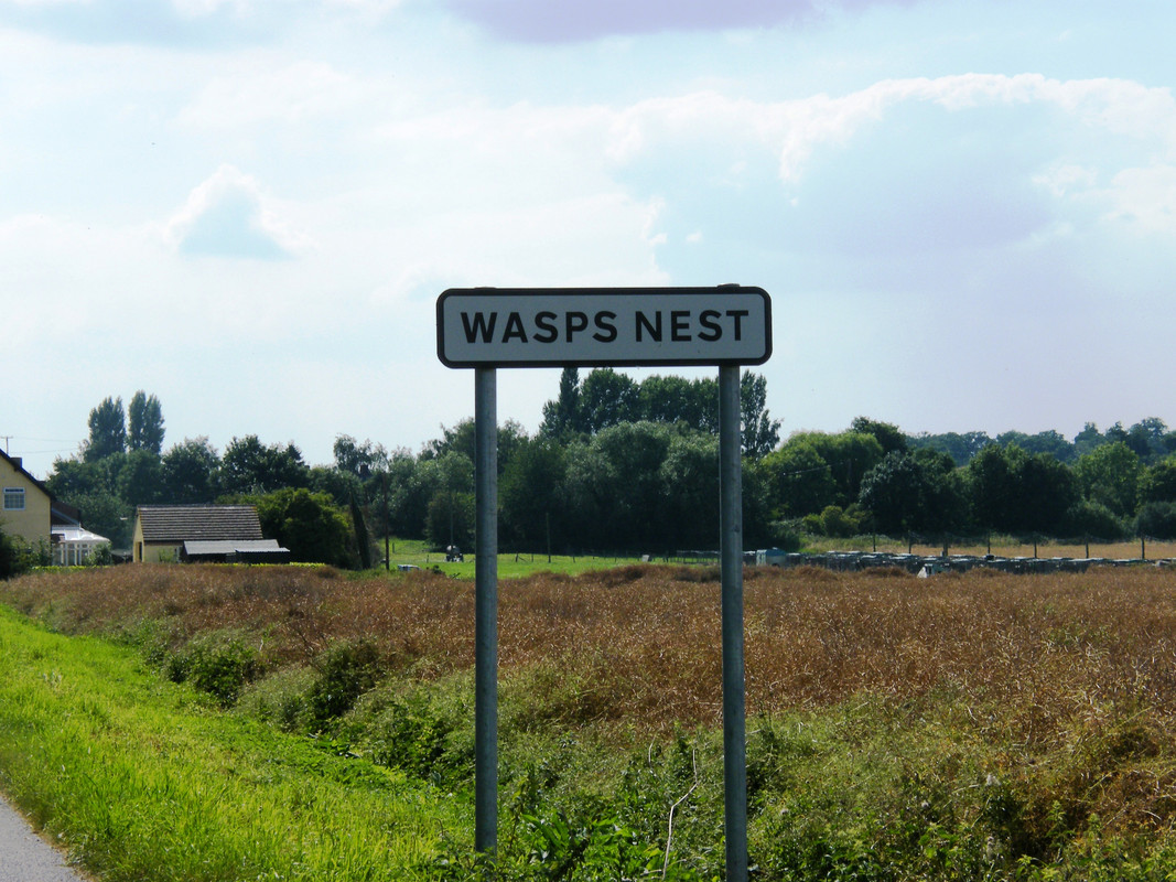 Wasps-Nest.jpg